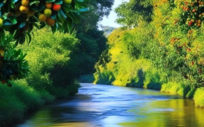 El Río de la Vida